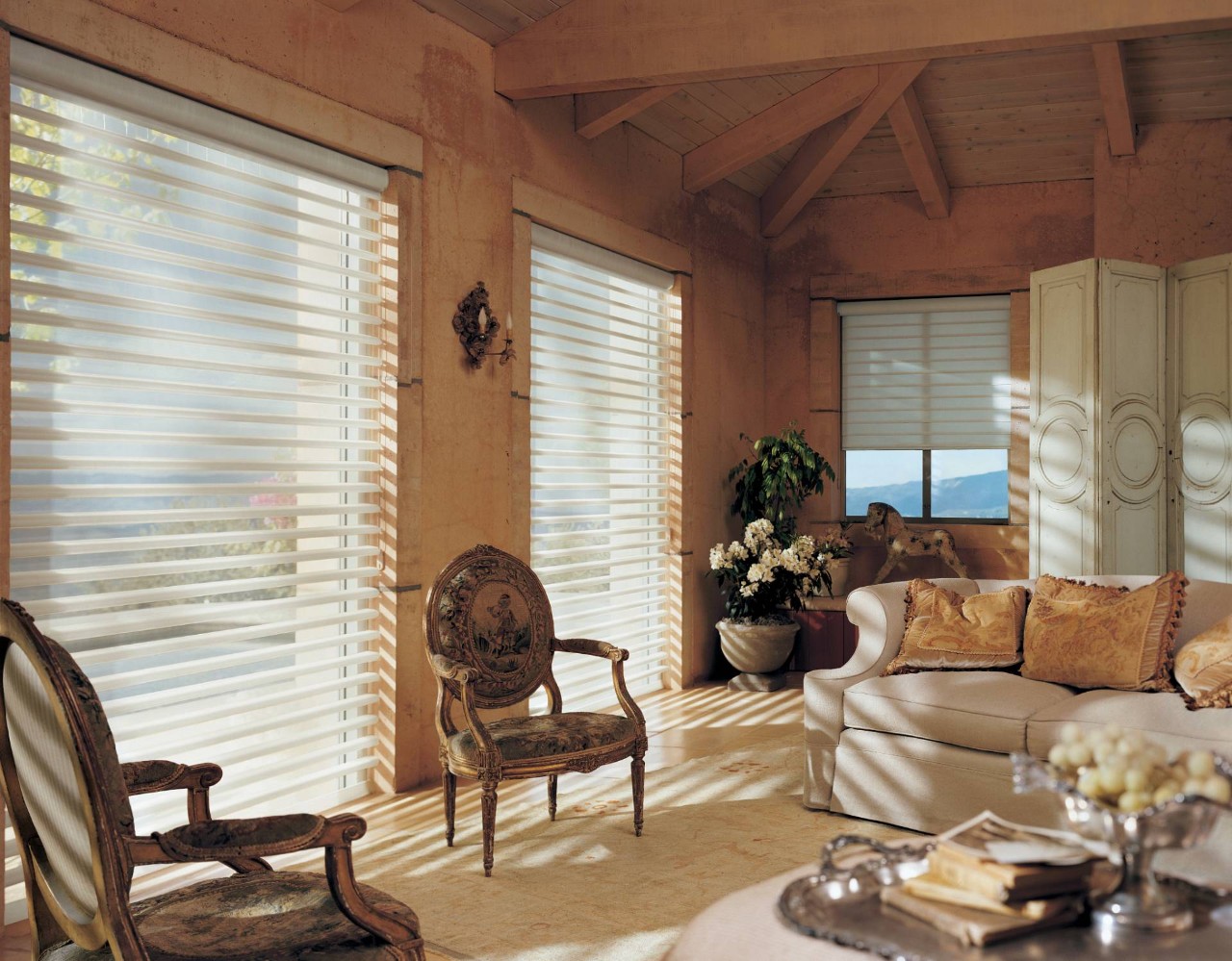 Hunter Douglas Pirouette® Window Shadings near Rohnert Park, California (CA)