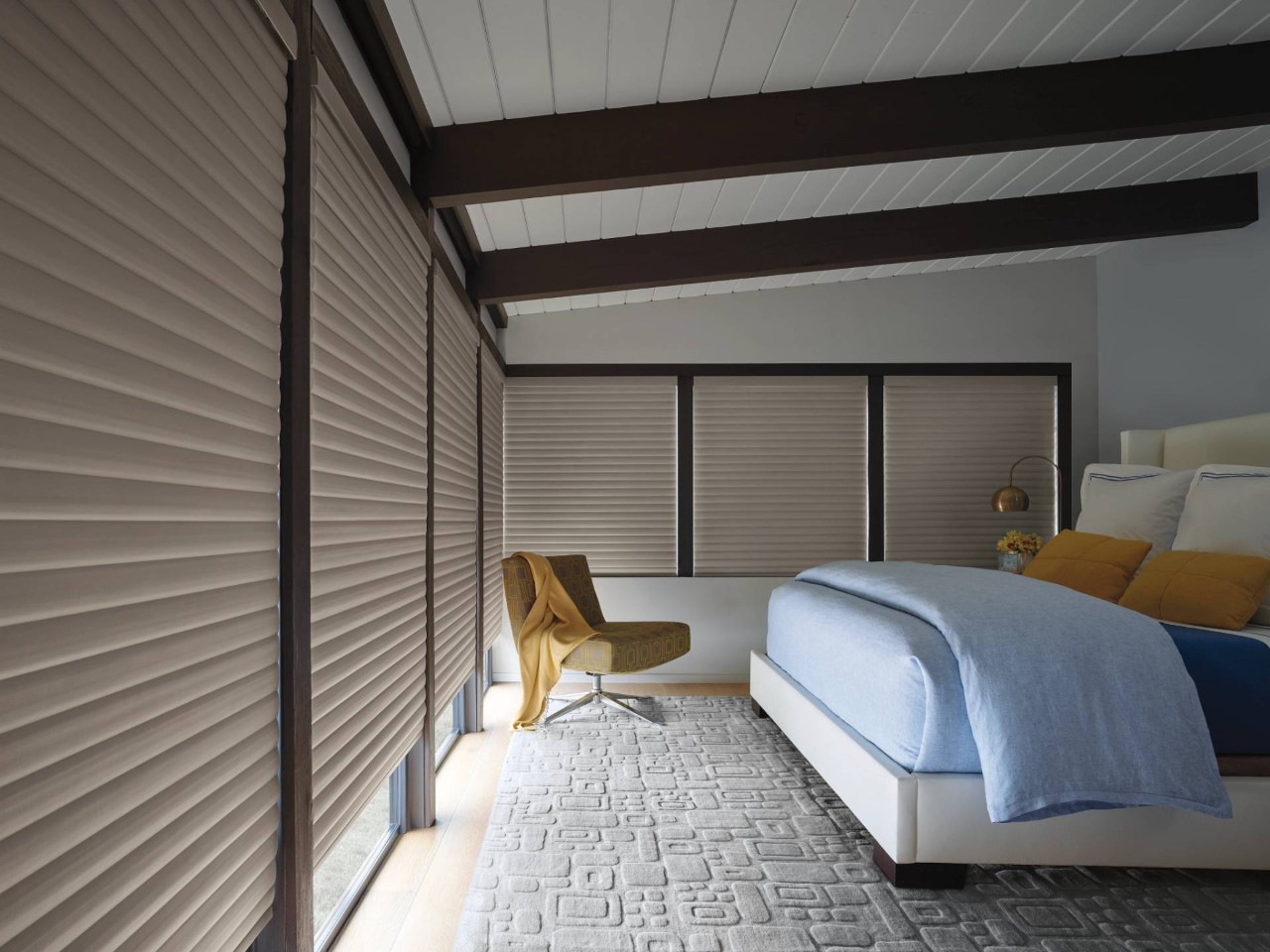 Hunter Douglas Sonnette® Roller Shades near Rohnert Park, California (CA)